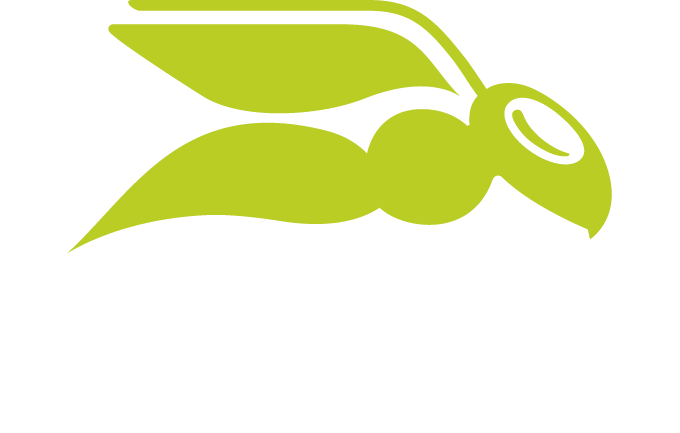 Hornetsecurity